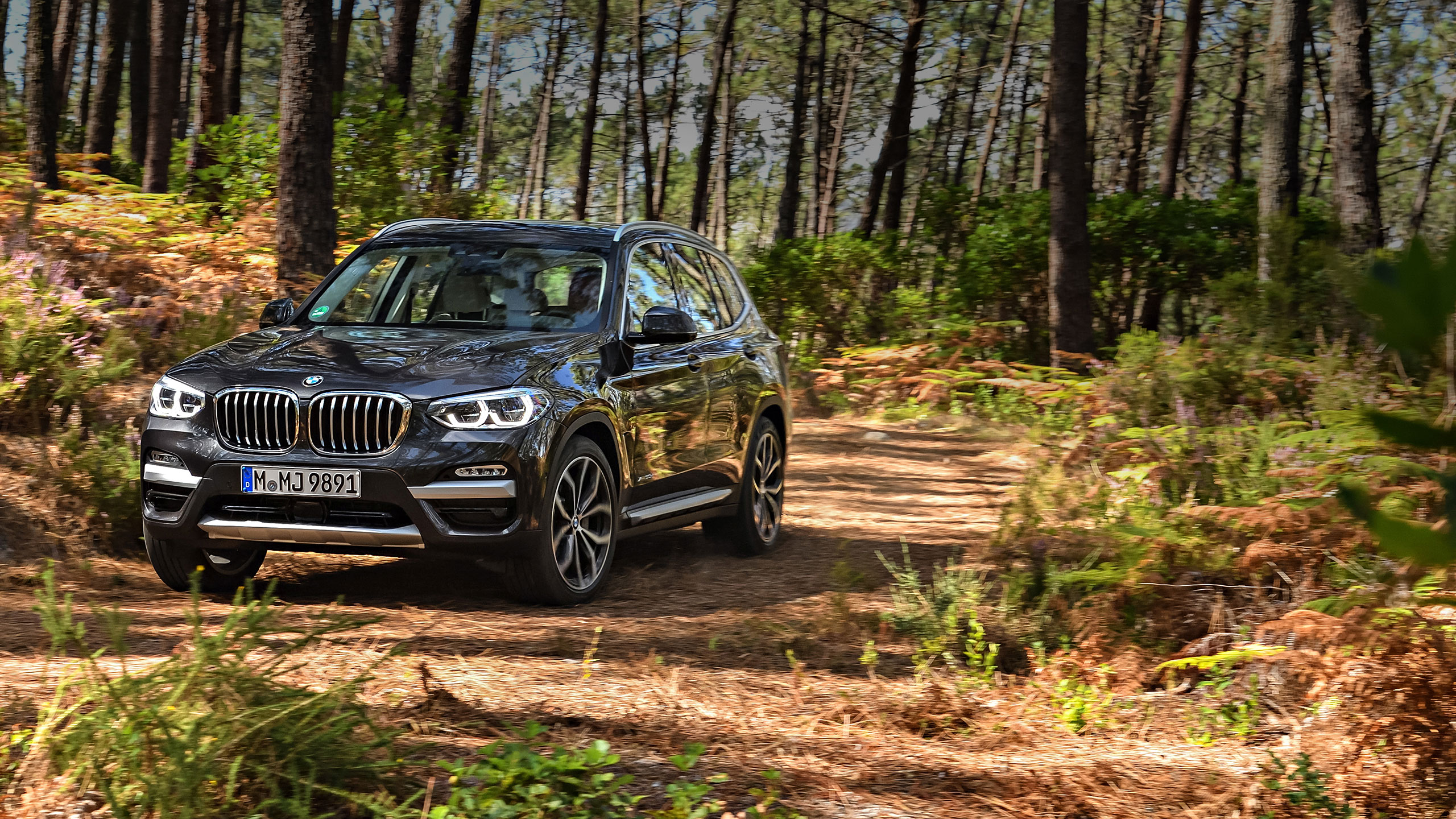 Bmw x3 клиренс дорожный