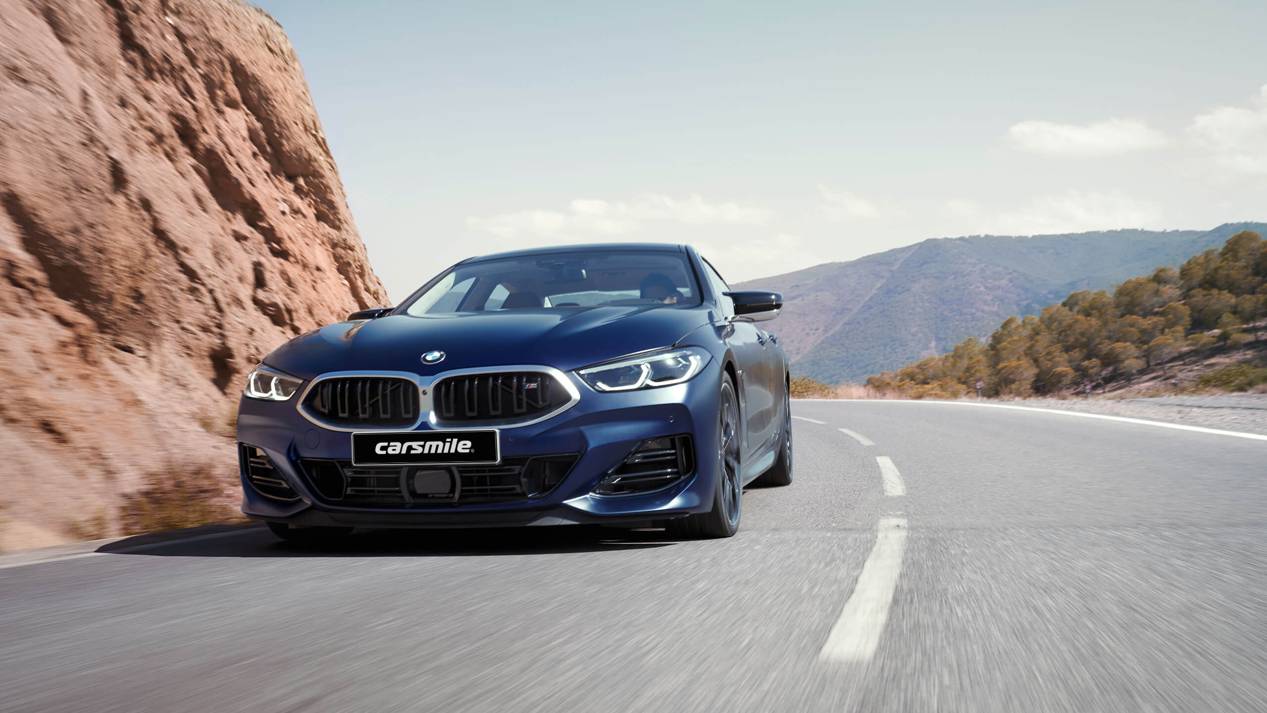 BMW Seria 8