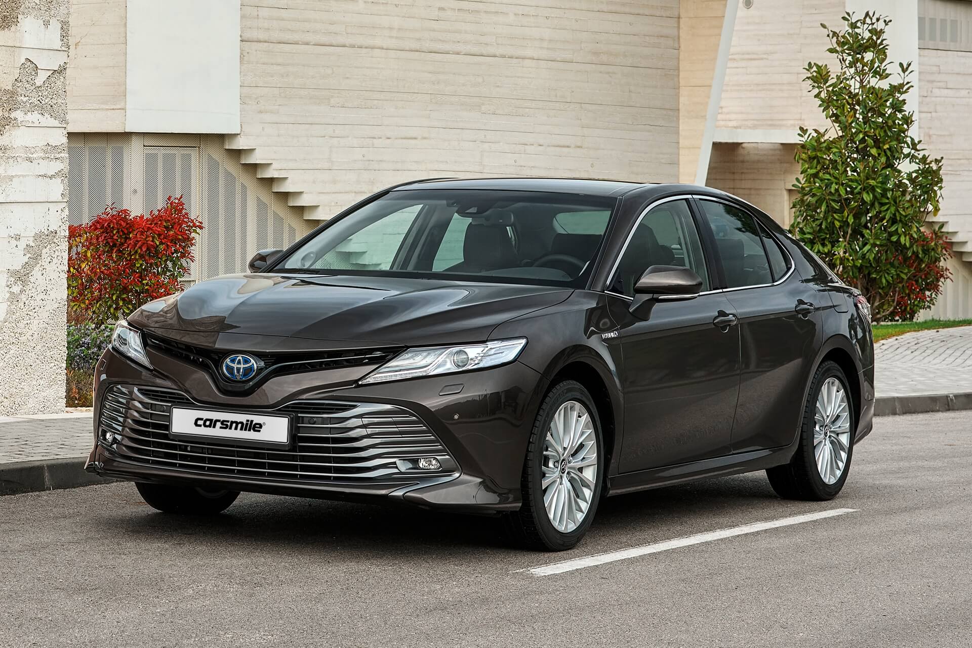 Камри 2019. Toyota Camry 2019. Тойота Camry 2019. Тойота Камри 2019г. Camry 2023.